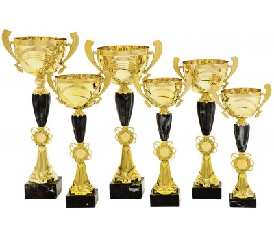 Cupa Standard Seria 4900 model disponibil in 6 dimensiuni