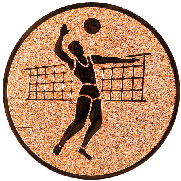 Insertie sport bronz cu figura de jucator de volei, potrivita pentru medalie, cupa sau trofeu