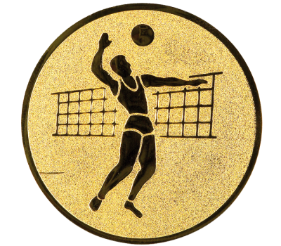 Insertie sport aurie cu figura de jucator de volei, potrivita pentru medalie, cupa sau trofeu