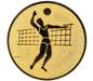 Insertie sport aurie cu figura de jucator de volei, potrivita pentru medalie, cupa sau trofeu