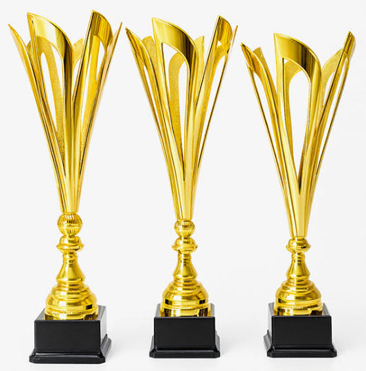 Trofeu Standard Seria 4824 disponibil in 3 dimensiuni