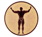 Insertie sport bronz cu figura de culturist, potrivita pentru medalie, cupa sau trofeu