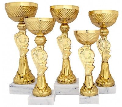 Cupa Standard Seria 5916 model disponibil in 5 dimensiuni
