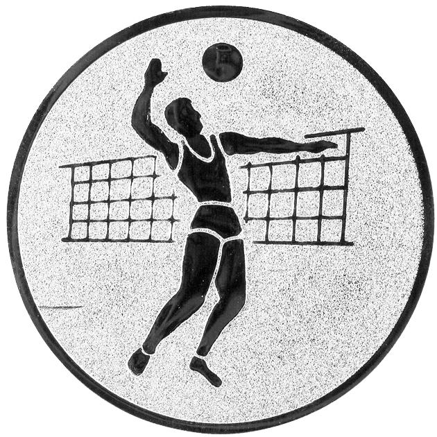 Insertie sport argintie cu figura de jucator de volei, potrivita pentru medalie, cupa sau trofeu