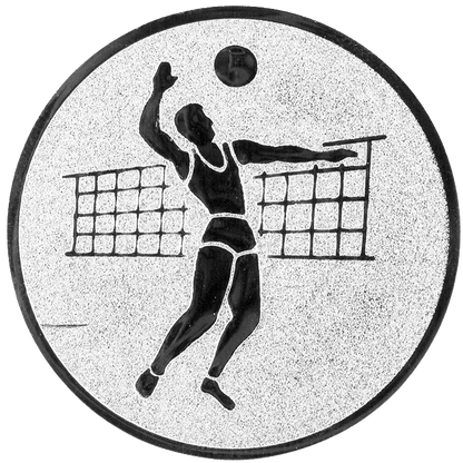 Insertie sport argintie cu figura de jucator de volei, potrivita pentru medalie, cupa sau trofeu