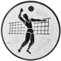 Insertie sport argintie cu figura de jucator de volei, potrivita pentru medalie, cupa sau trofeu