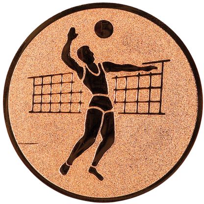 Insertie sport bronz cu figura de jucator de volei, potrivita pentru medalie, cupa sau trofeu