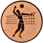 Insertie sport bronz cu figura de jucator de volei, potrivita pentru medalie, cupa sau trofeu