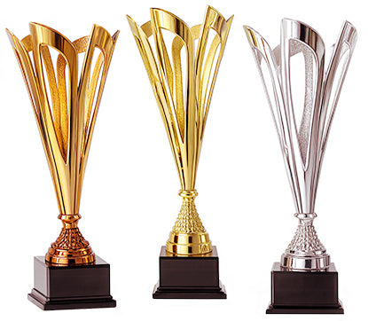 Trofeu Standard Seria 4823 disponibil in 3 dimensiuni